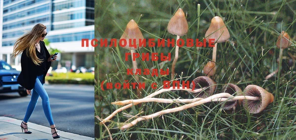 бошки Волосово